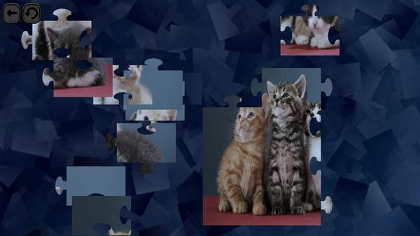 Puzzles for smart: Cats screenshot 2