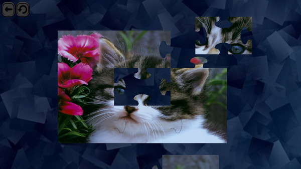 Puzzles for smart: Cats screenshot 3
