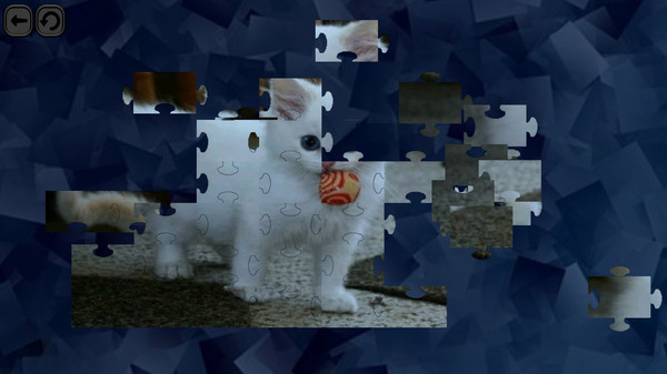 Puzzles for smart: Cats screenshot 5