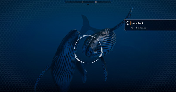 Beyond Blue screenshot 9
