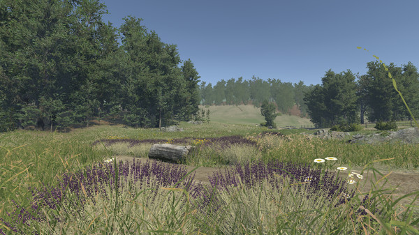 Lavender screenshot 1