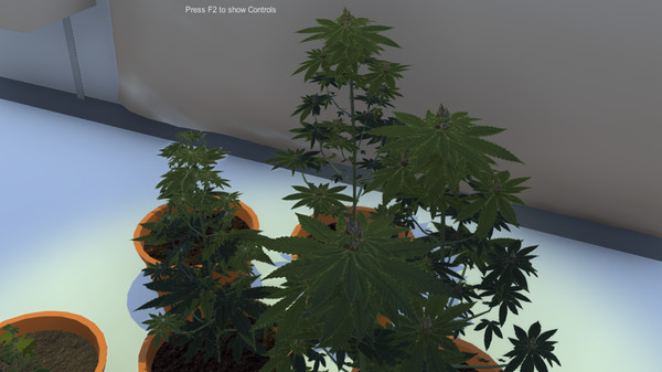 Dr Greenstuff screenshot 2