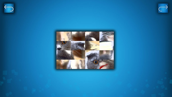 PUZZLE: CATS & DOGS screenshot 4