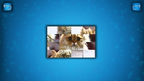 PUZZLE: CATS & DOGS screenshot 1