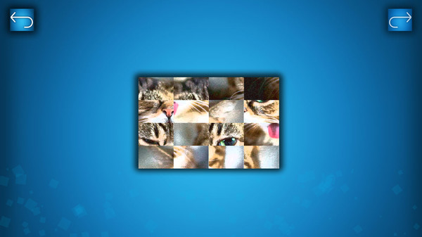 PUZZLE: CATS & DOGS screenshot 3