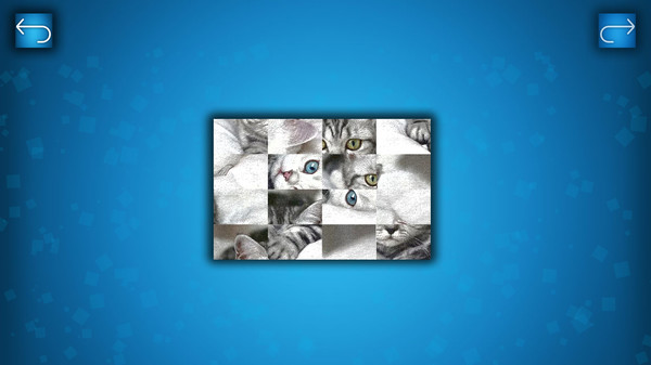 PUZZLE: CATS & DOGS screenshot 5