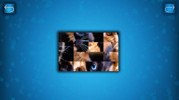 PUZZLE: CATS & DOGS screenshot 6