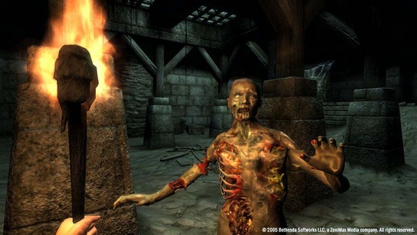 The Elder Scrolls IV: Oblivion Game of the Year Edition Deluxe (2009) screenshot 2