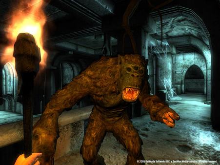 The Elder Scrolls IV: Oblivion Game of the Year Edition Deluxe (2009) screenshot 6