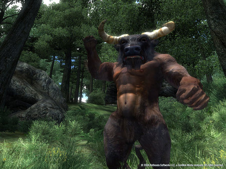 The Elder Scrolls IV: Oblivion Game of the Year Edition Deluxe (2009) screenshot 7