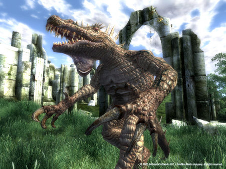 The Elder Scrolls IV: Oblivion Game of the Year Edition Deluxe (2009) screenshot 8