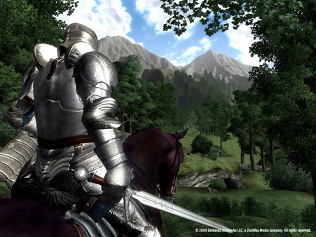 The Elder Scrolls IV: Oblivion Game of the Year Edition Deluxe (2009) screenshot 9