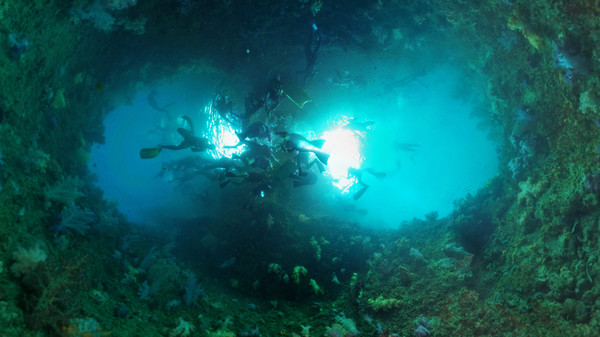Coral Compass: Fighting Climate Change in Palau screenshot 2