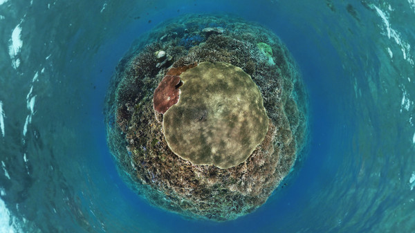 Coral Compass: Fighting Climate Change in Palau screenshot 3