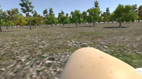 Chicken VR screenshot 6