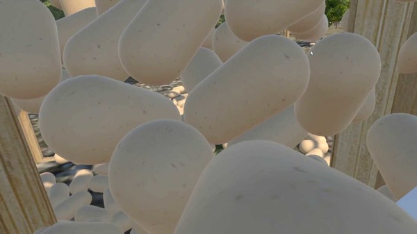 Chicken VR screenshot 10