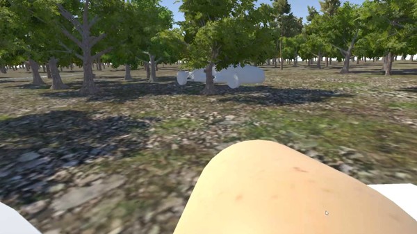 Chicken VR screenshot 5
