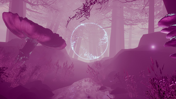 Anima screenshot 2