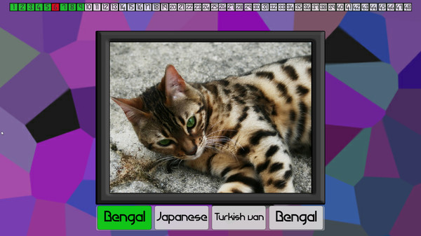 Test your knowledge: Cats screenshot 1