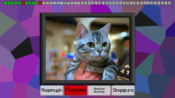 Test your knowledge: Cats screenshot 3