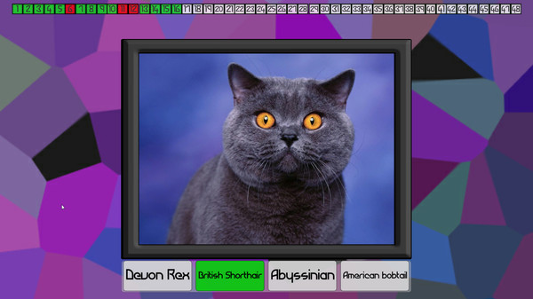 Test your knowledge: Cats screenshot 4