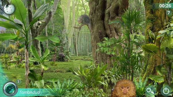 Hidden Animals: Photo Hunt - Worldwide Safari screenshot 5