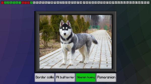 Test your knowledge: Dogs screenshot 2