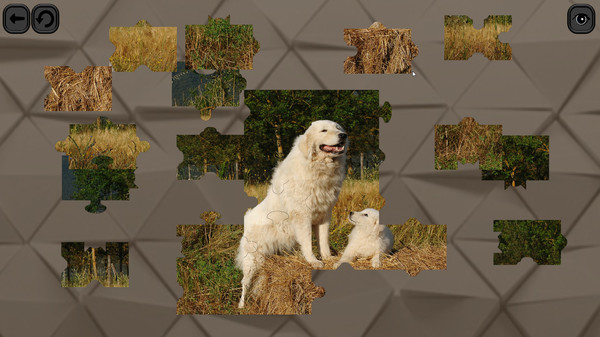 Puzzles for smart: Dogs screenshot 3