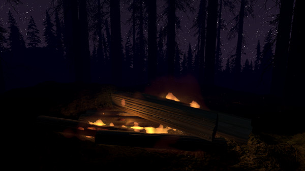 Fire Place screenshot 1
