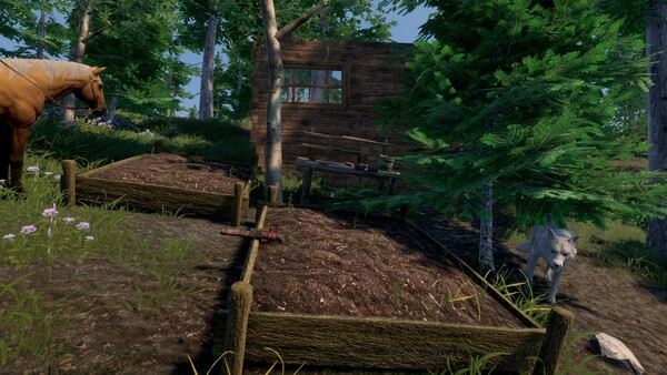 Trials of Wilderness screenshot 3