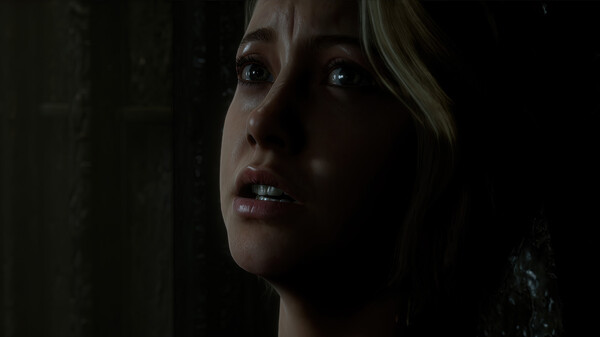 The Dark Pictures Anthology: Man of Medan screenshot 10