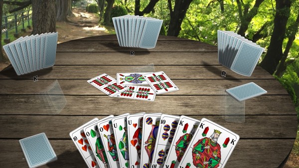 Classic Card Games 3D screenshot 2