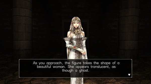 Wizardry: Labyrinth of Lost Souls screenshot 6