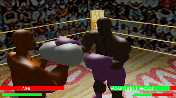 Teck Boxing 3D screenshot 2