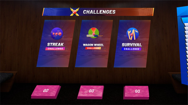iB Cricket screenshot 6
