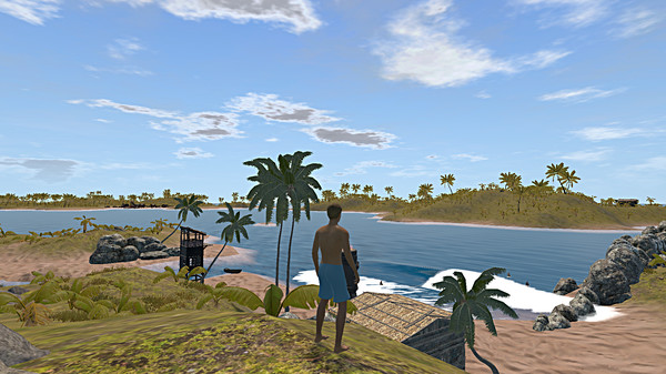 The Endless Summer - Search For Surf screenshot 3