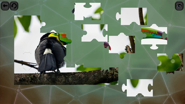 Puzzles for smart: Birds screenshot 2