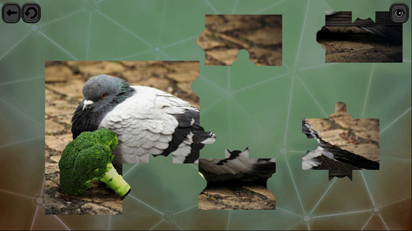Puzzles for smart: Birds screenshot 1