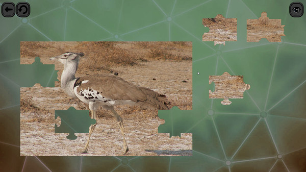 Puzzles for smart: Birds screenshot 5