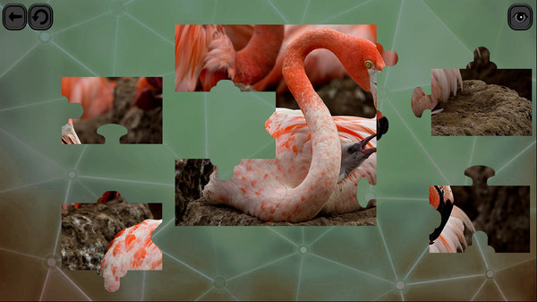 Puzzles for smart: Birds screenshot 3