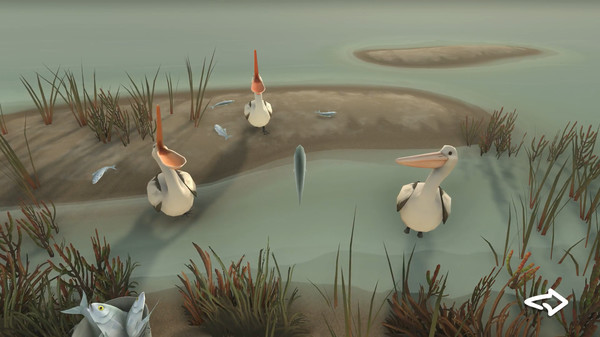 Storm Boy screenshot 3