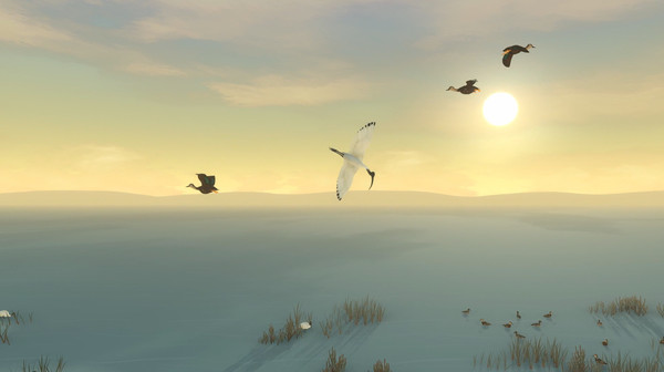 Storm Boy screenshot 4