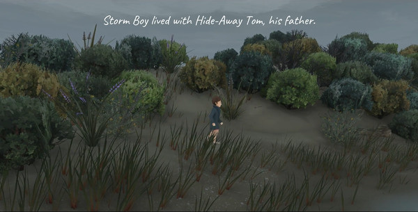 Storm Boy screenshot 2