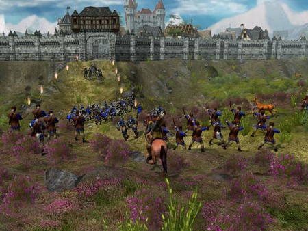 The Settlers : Heritage of Kings - History Edition screenshot 5