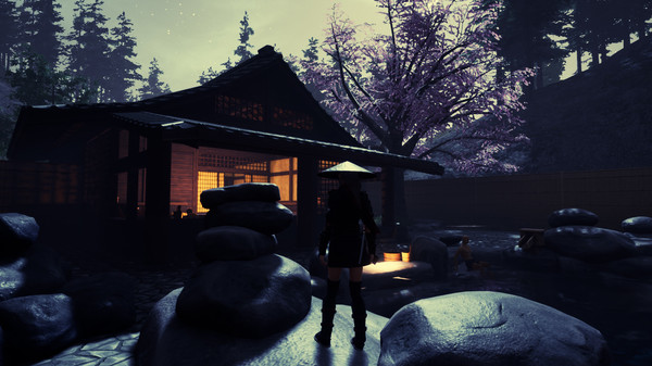 Tale of Ninja: Fall of the Miyoshi screenshot 1
