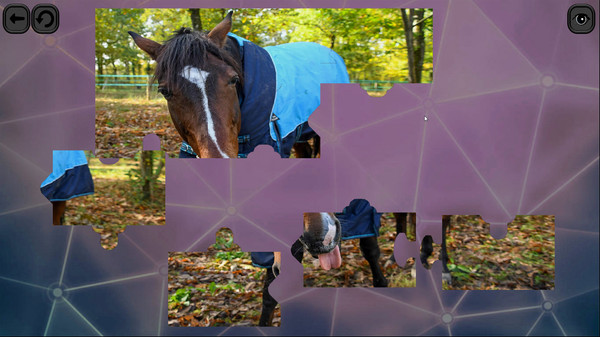 Puzzles for smart: Horses screenshot 5