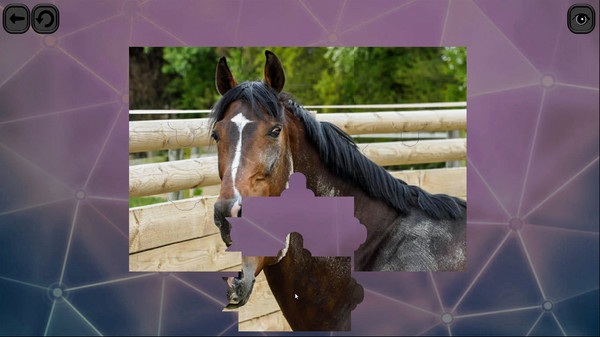 Puzzles for smart: Horses screenshot 2