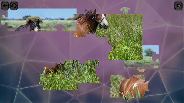 Puzzles for smart: Horses screenshot 3