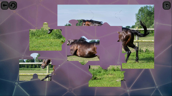 Puzzles for smart: Horses screenshot 4