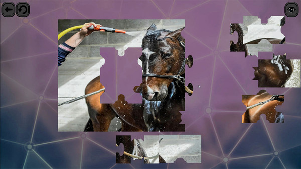 Puzzles for smart: Horses screenshot 1